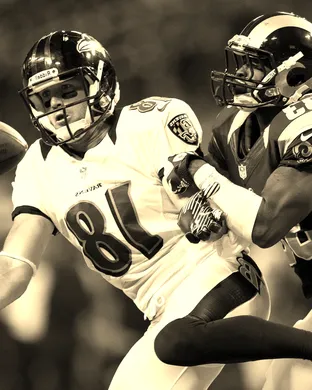 Premium Tailgate Party: Baltimore Ravens vs. Cincinnati Bengals