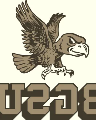 Bowling Green Falcons Oxford