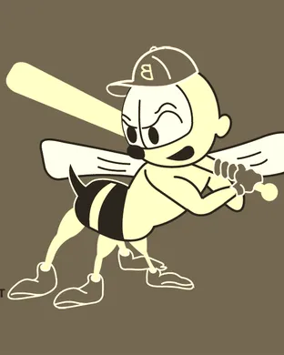 Burlington Bees Springfield