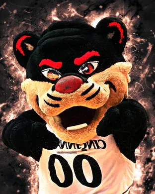 Cincinnati Bearcats Football Cincinnati