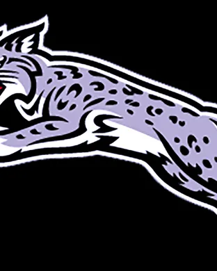 Davidson Wildcats Football Dayton