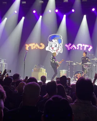 Stray Cats Dayton