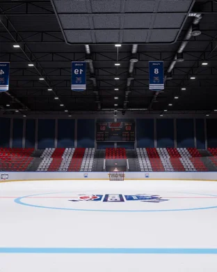 St. Thomas University Tommies Saint Paul
